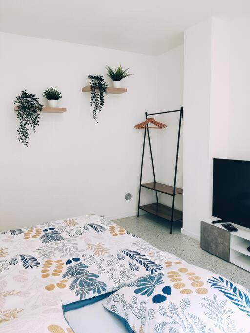 Magnifique Appartement T3 50 M2 โอแบร์เน ภายนอก รูปภาพ